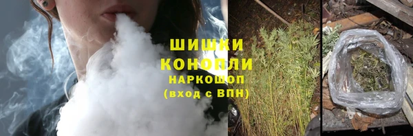 сатива Богородск
