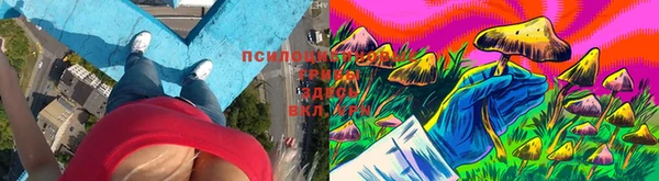 сатива Богородск