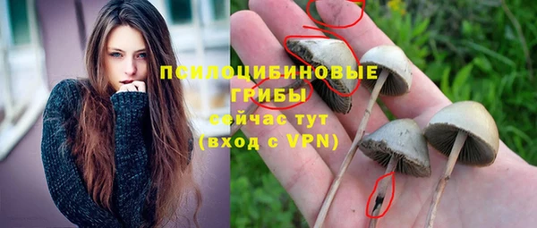 МДПВ Богданович