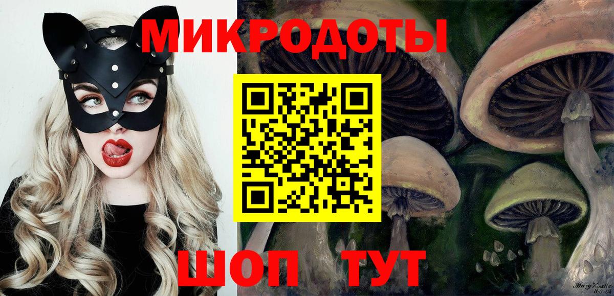 Псилоцибиновые грибы Psilocybine cubensis Богородицк