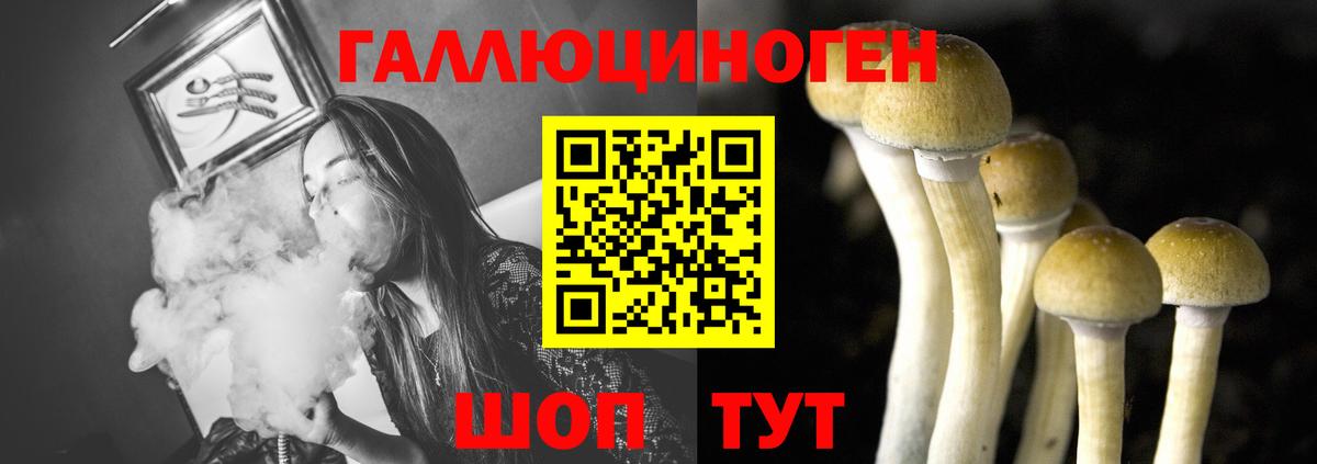 Галлюциногенные грибы мицелий  Вход с VPN  Богородицк  продажа наркотиков  Галлюциногенные грибы GOLDEN TEACHER 